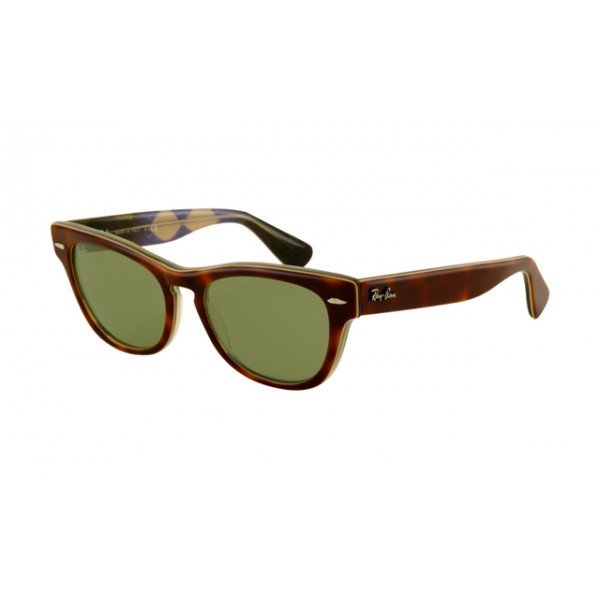 RayBan Sunglasses Icons RB4169 KGN