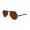 RayBan Sunglasses Aviator RB8307 Shiny Black Frame Crystal Brown Lens AKM
