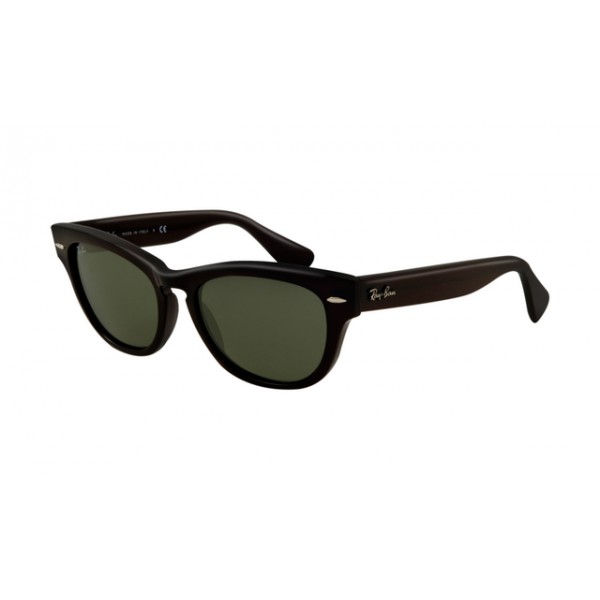 RayBan Sunglasses Icons RB4169 KGT